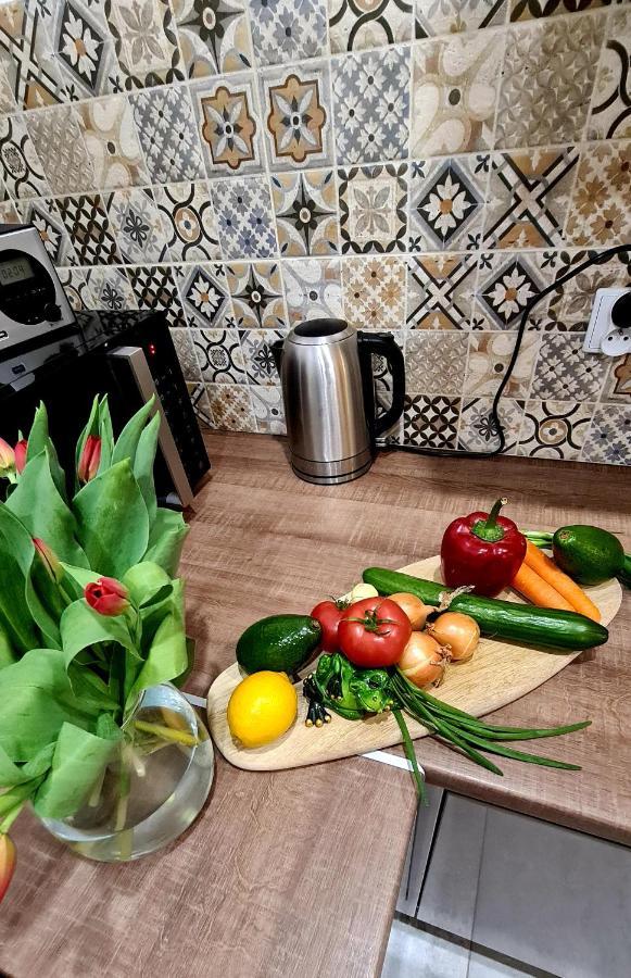 Gawra Gustawa Διαμέρισμα Ustrzyki Dolne Εξωτερικό φωτογραφία